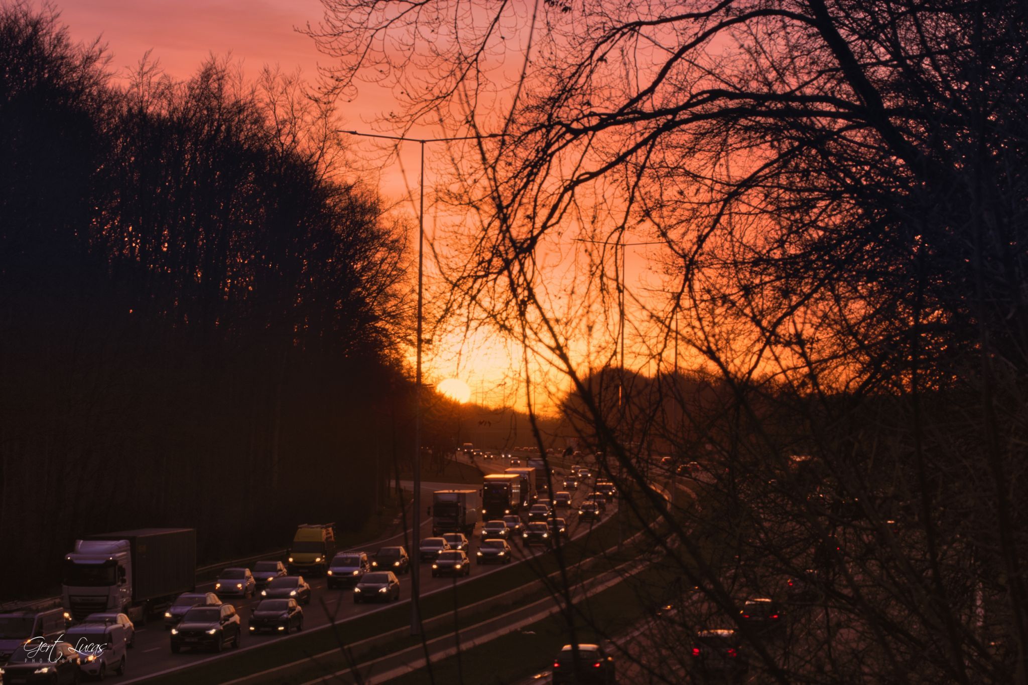 E19 -sunrise @Hallerbos, Belgium