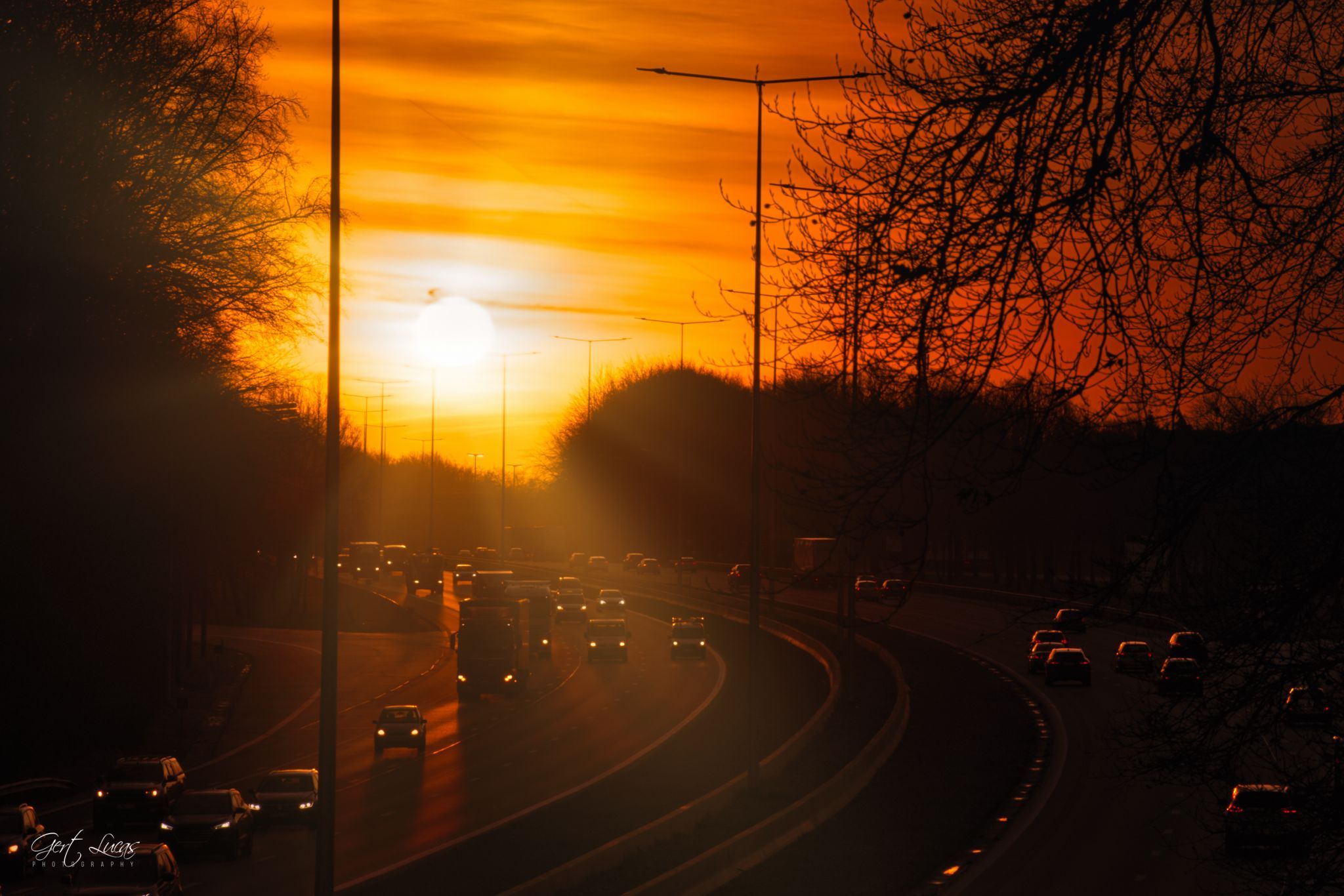E19 -sunrise @Hallerbos, Belgium