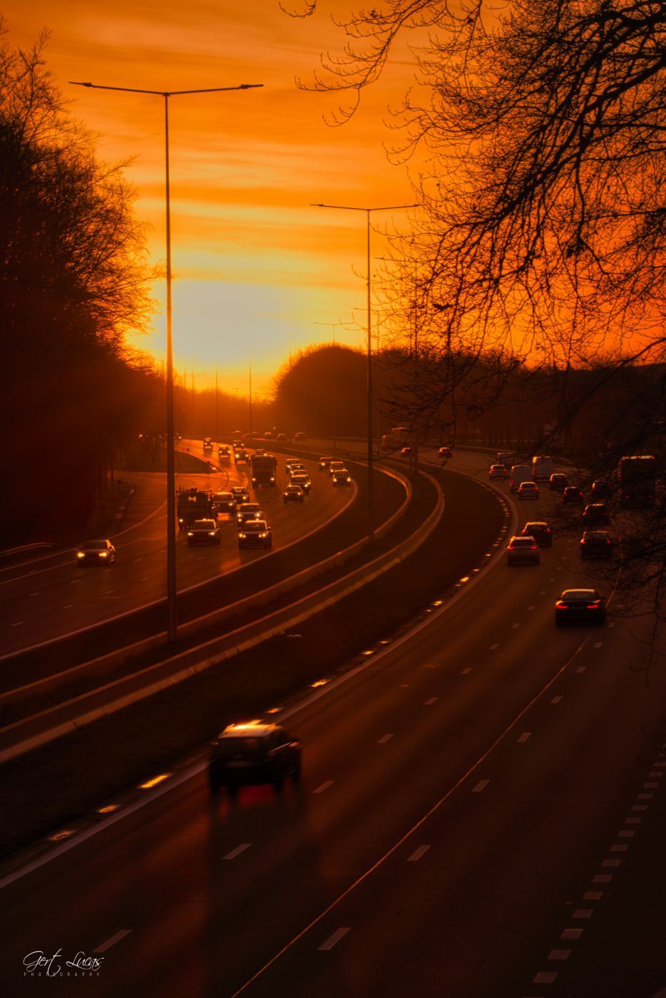 E19 -sunrise @Hallerbos, Belgium