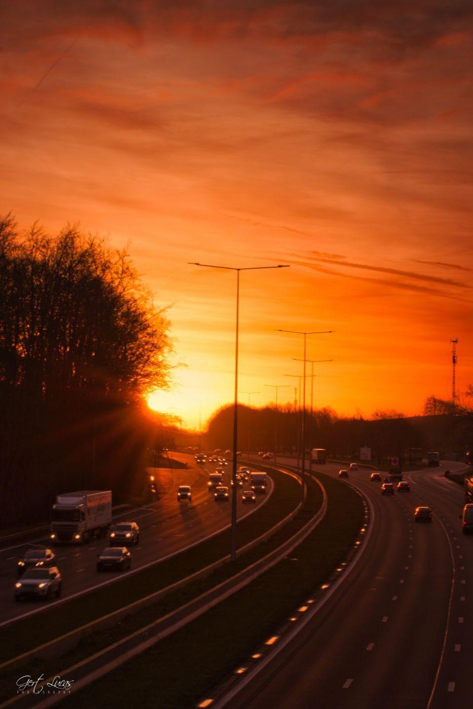 E19 -sunrise @Hallerbos, Belgium