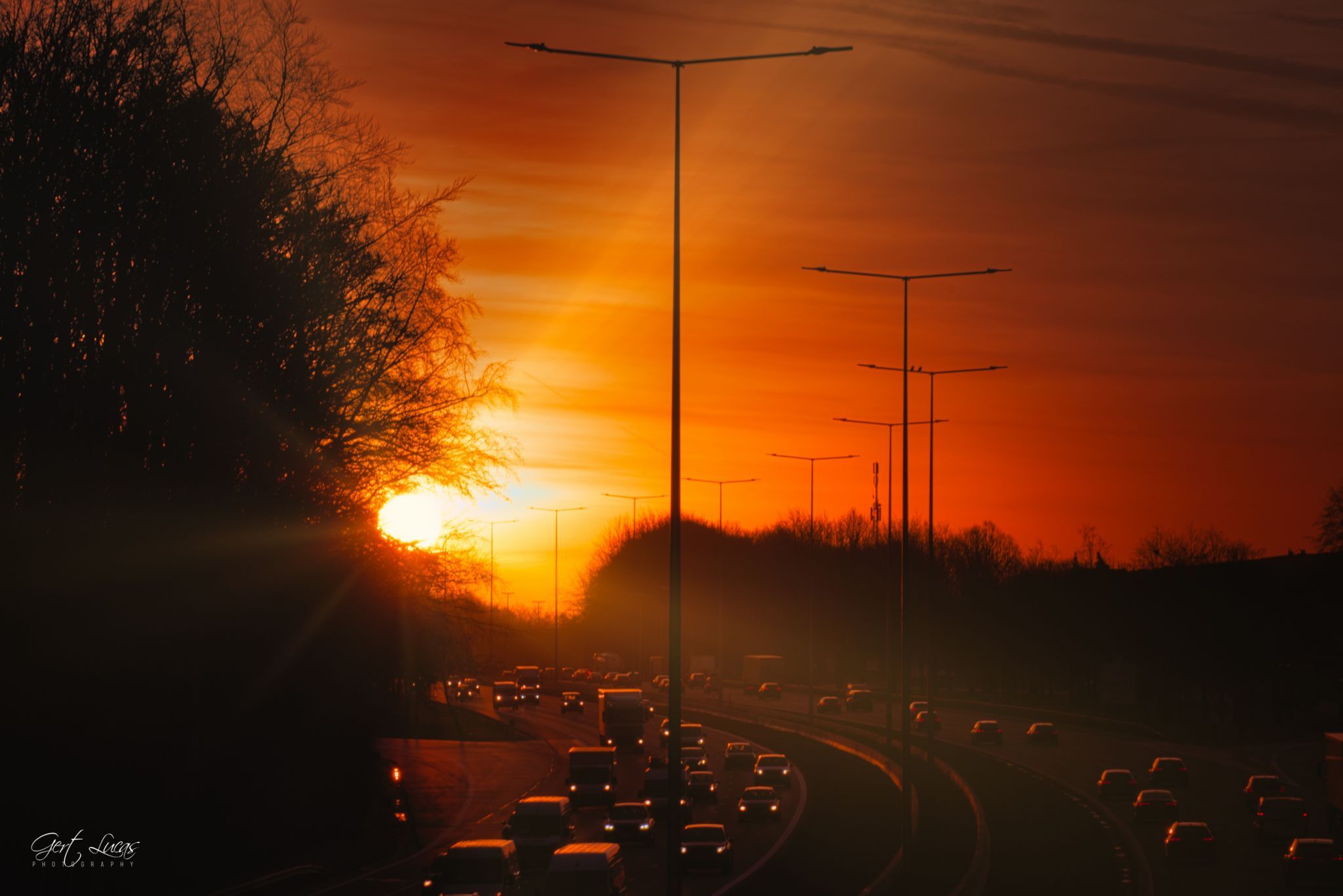 E19 -sunrise @Hallerbos, Belgium