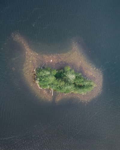 Fish over Sebago Lake