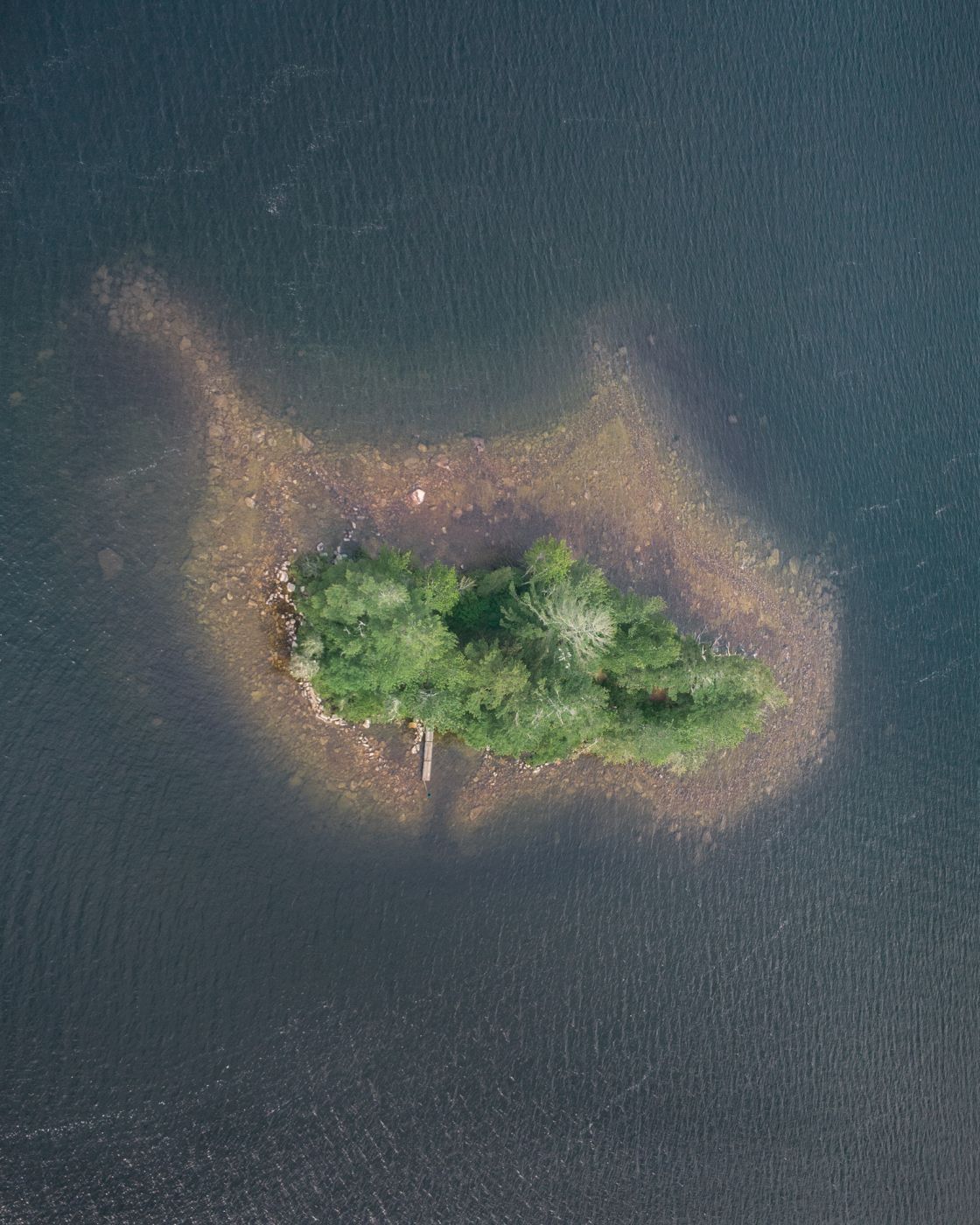 Fish over Sebago Lake, USA