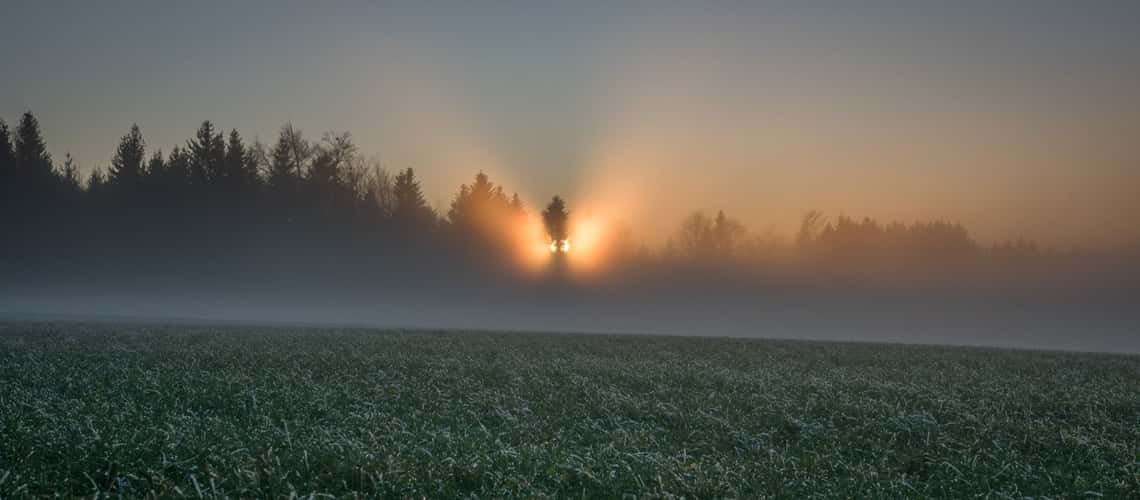 foggy sunset