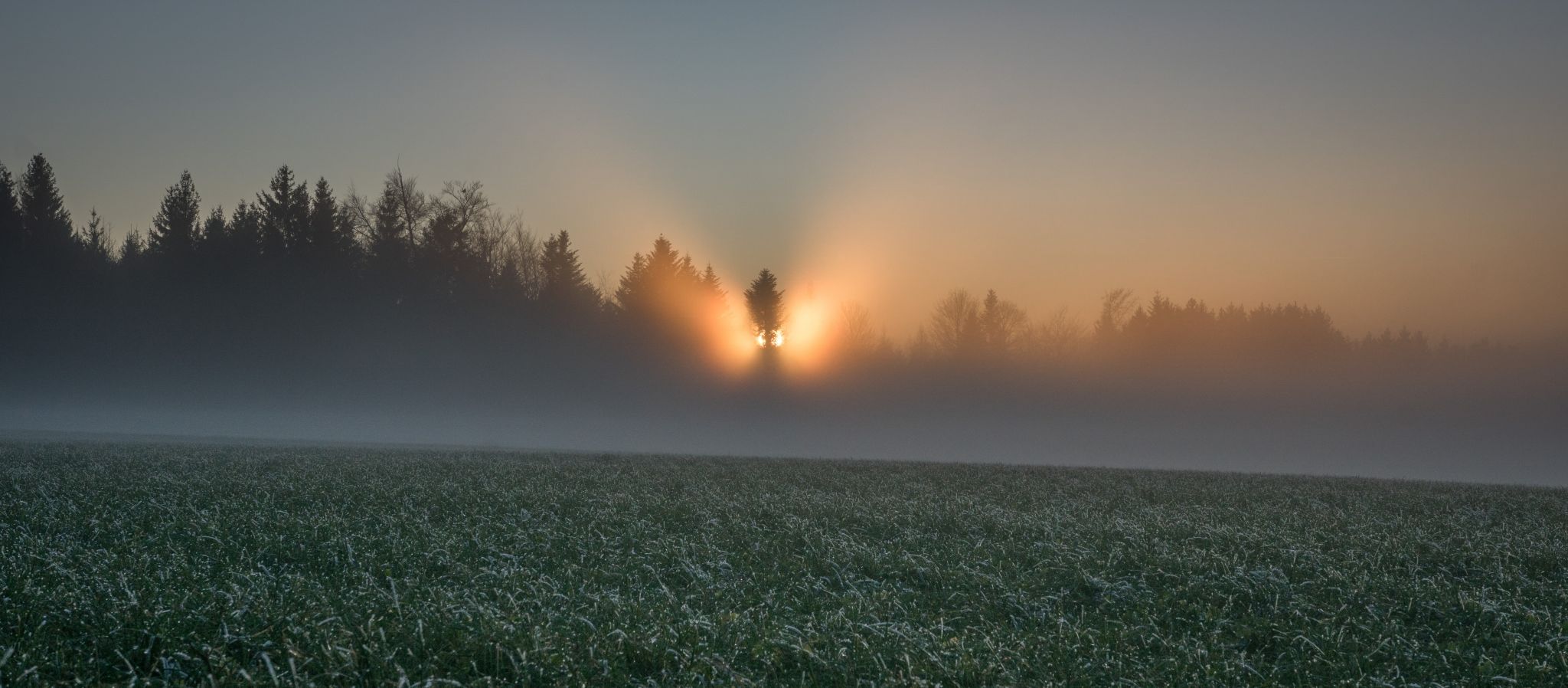 foggy sunset, Switzerland