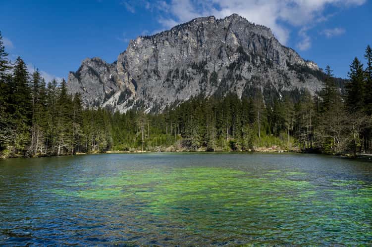 Grüner See