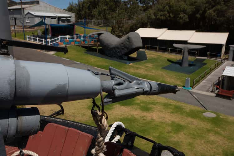 Harpoon on the Cheynes IV Frenchman's Bay Western Australia