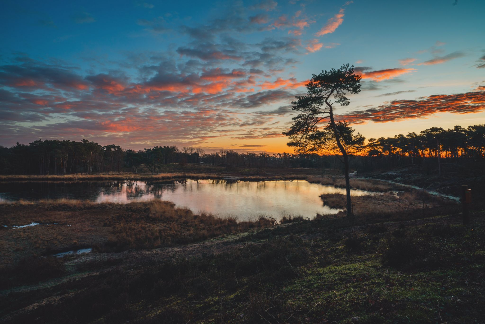 Hatertse and Overasseltse fens, Netherlands