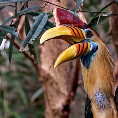 Cologne Zoo
