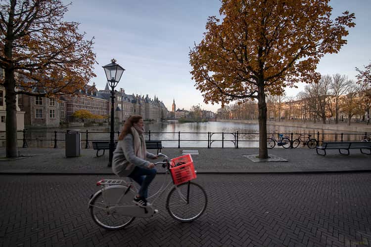 Hofvijver