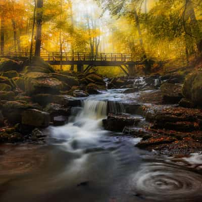 Holzbachtalschlucht, Germany