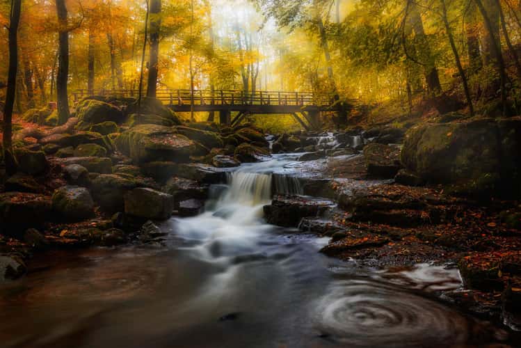 Holzbachtalschlucht