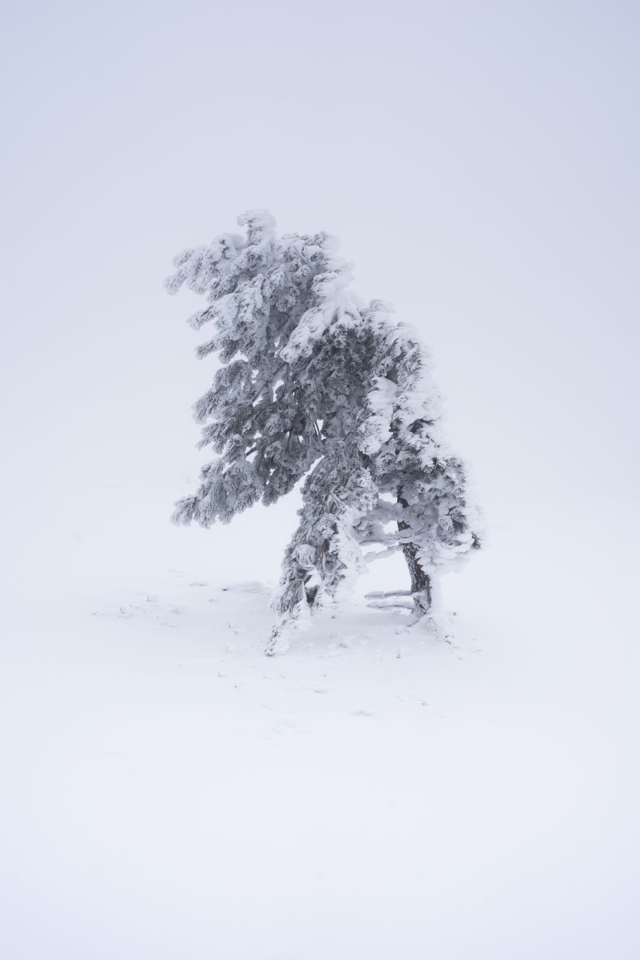 Hornisgrinde, Germany