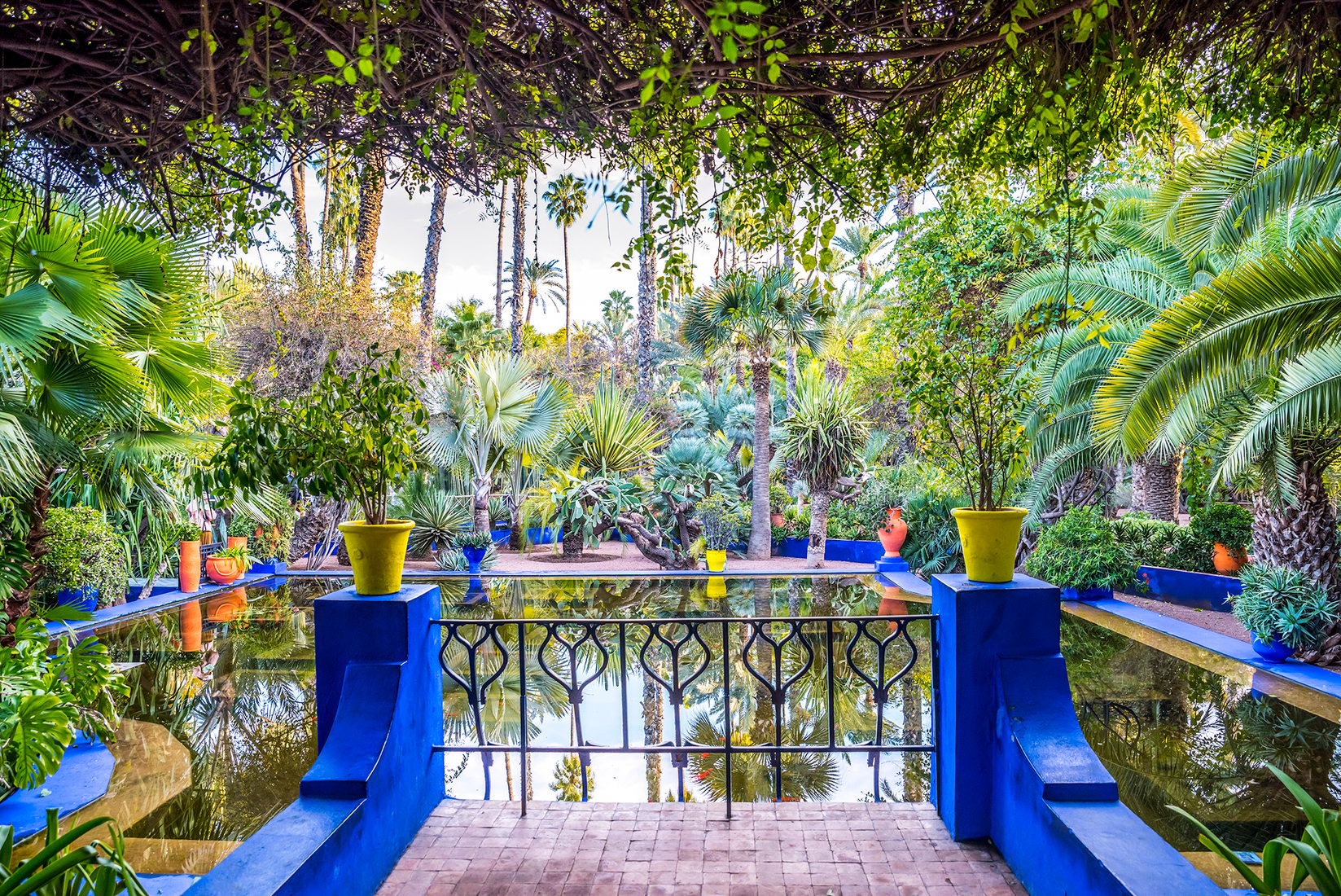 Les Jardins De Majorelles Maroc KGZO Les Jardins De Majorelles Maroc KGZO