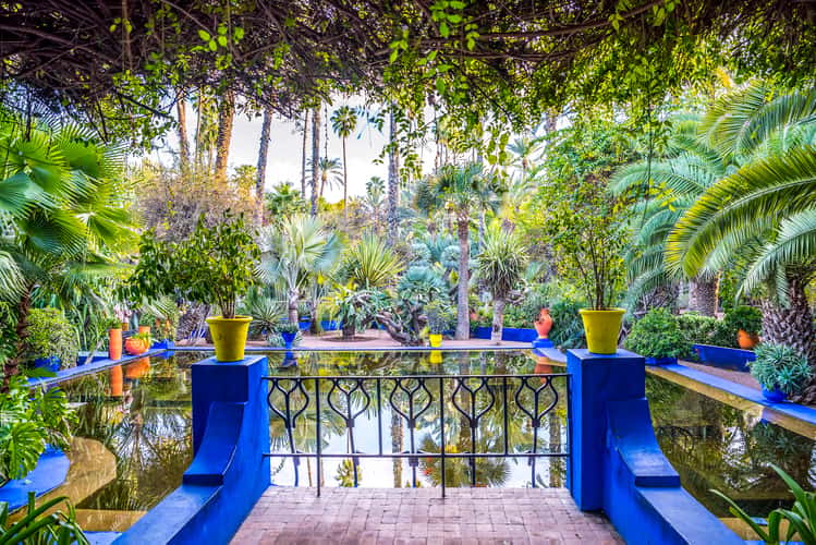 Jardin Majorelle, Marrakesh