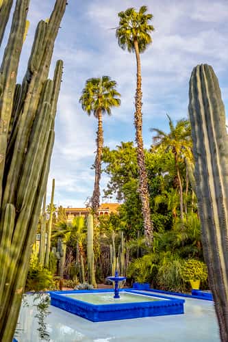 Jardin Majorelle, Marrakesh