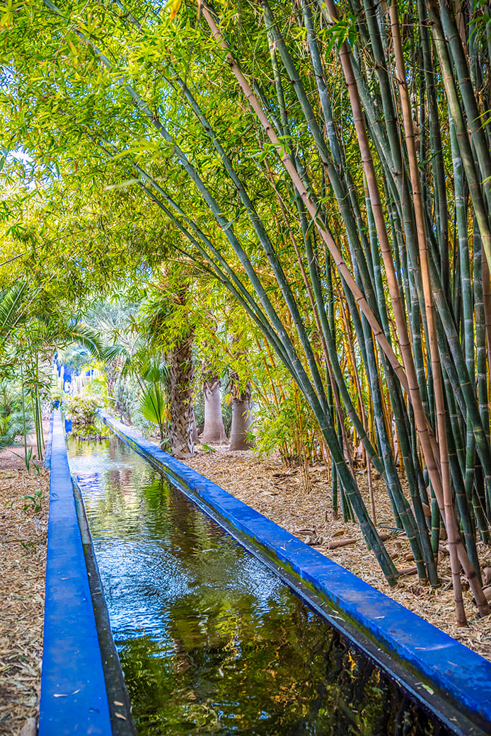 Jardin Majorelle, Marrakesh, Morocco