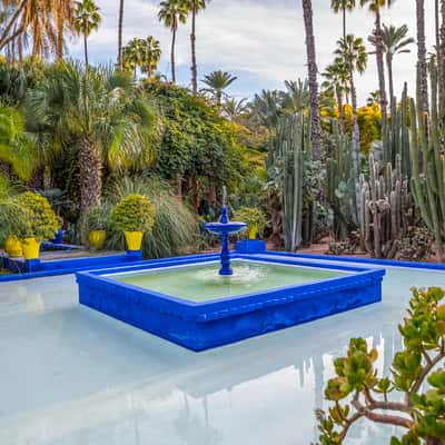 Jardin Majorelle, Marrakesh, Morocco