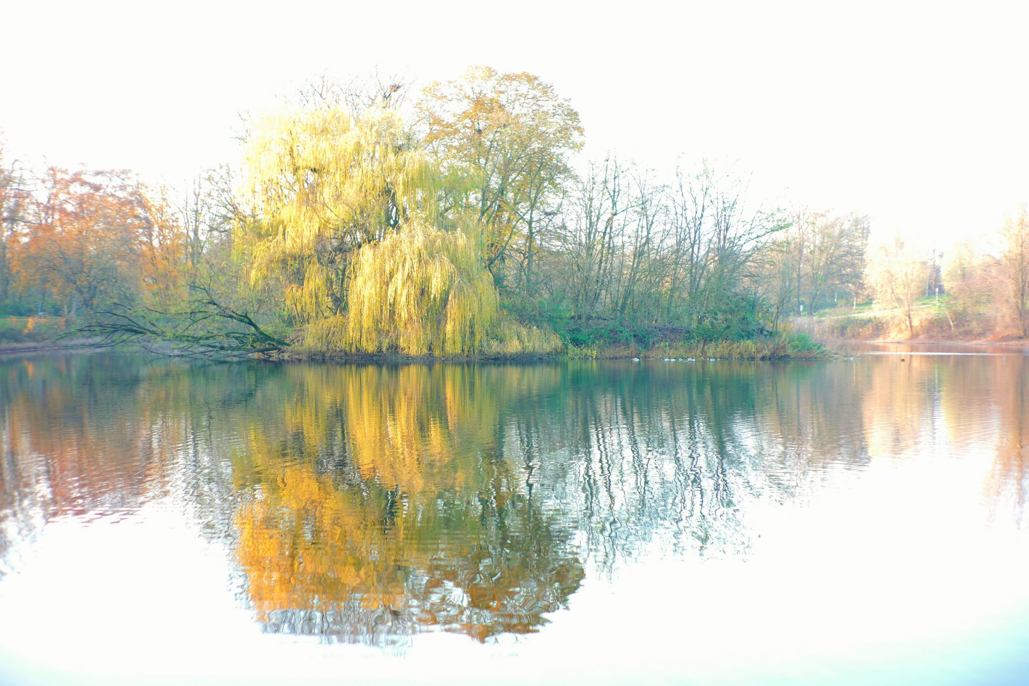 Jröne Meerke in Neuss, Germany
