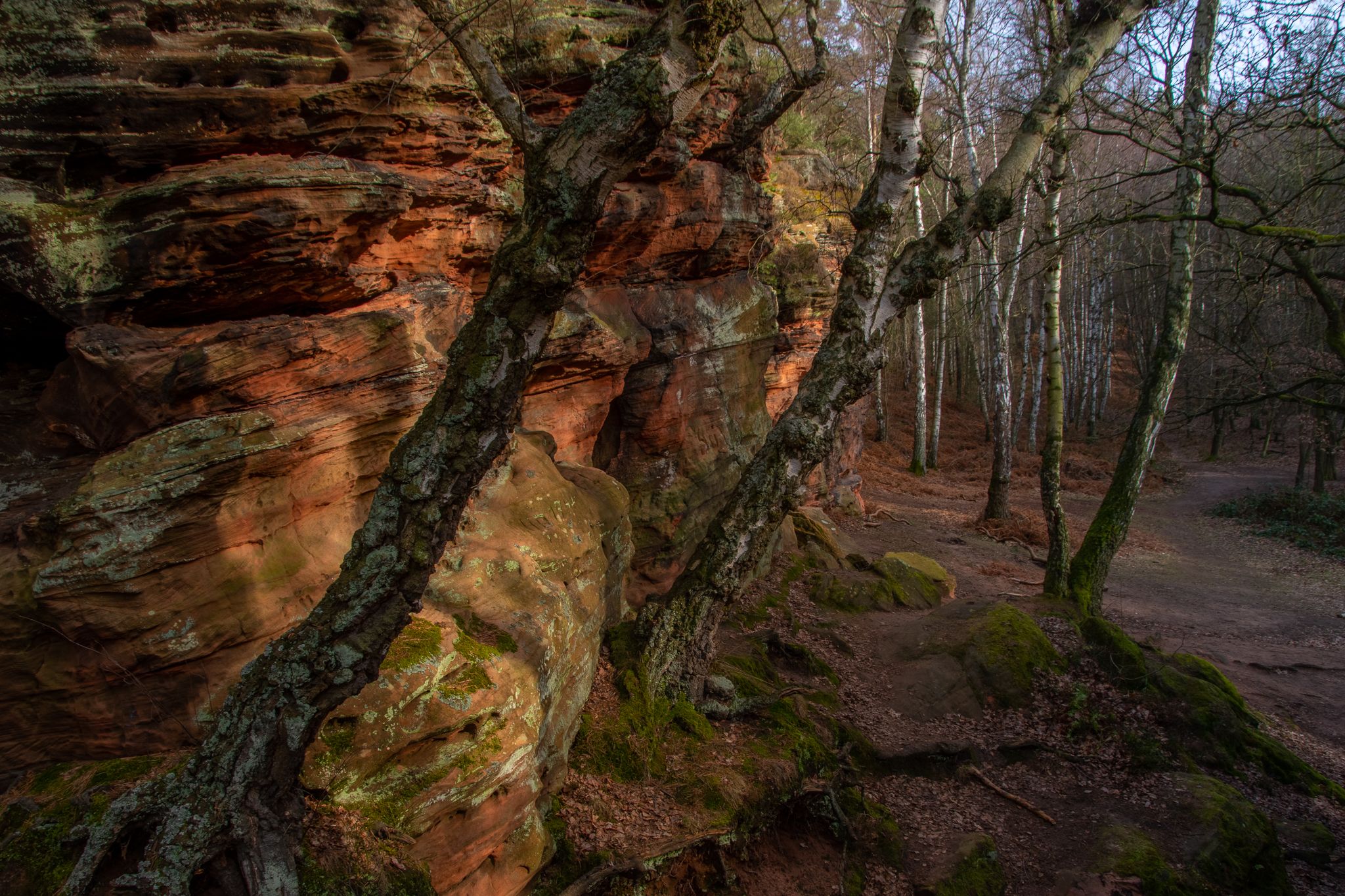 Katzensteine, Germany