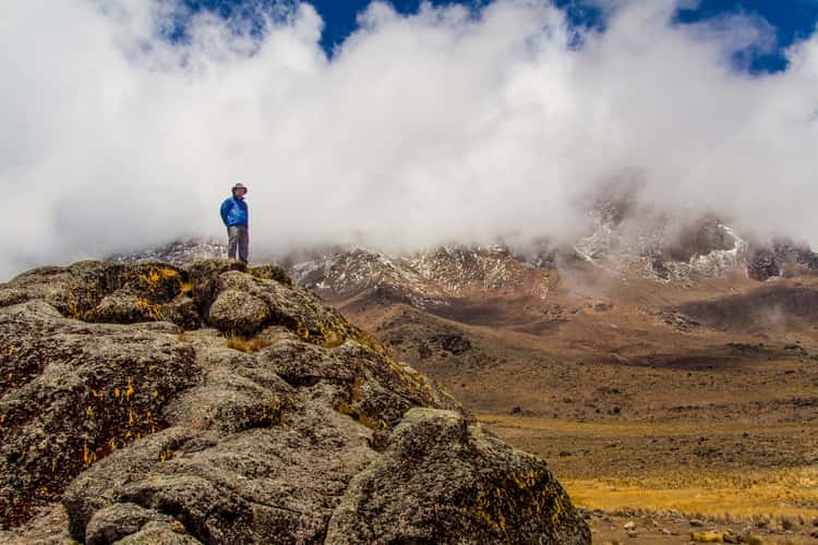 Kilimanjaro - Lava Tower