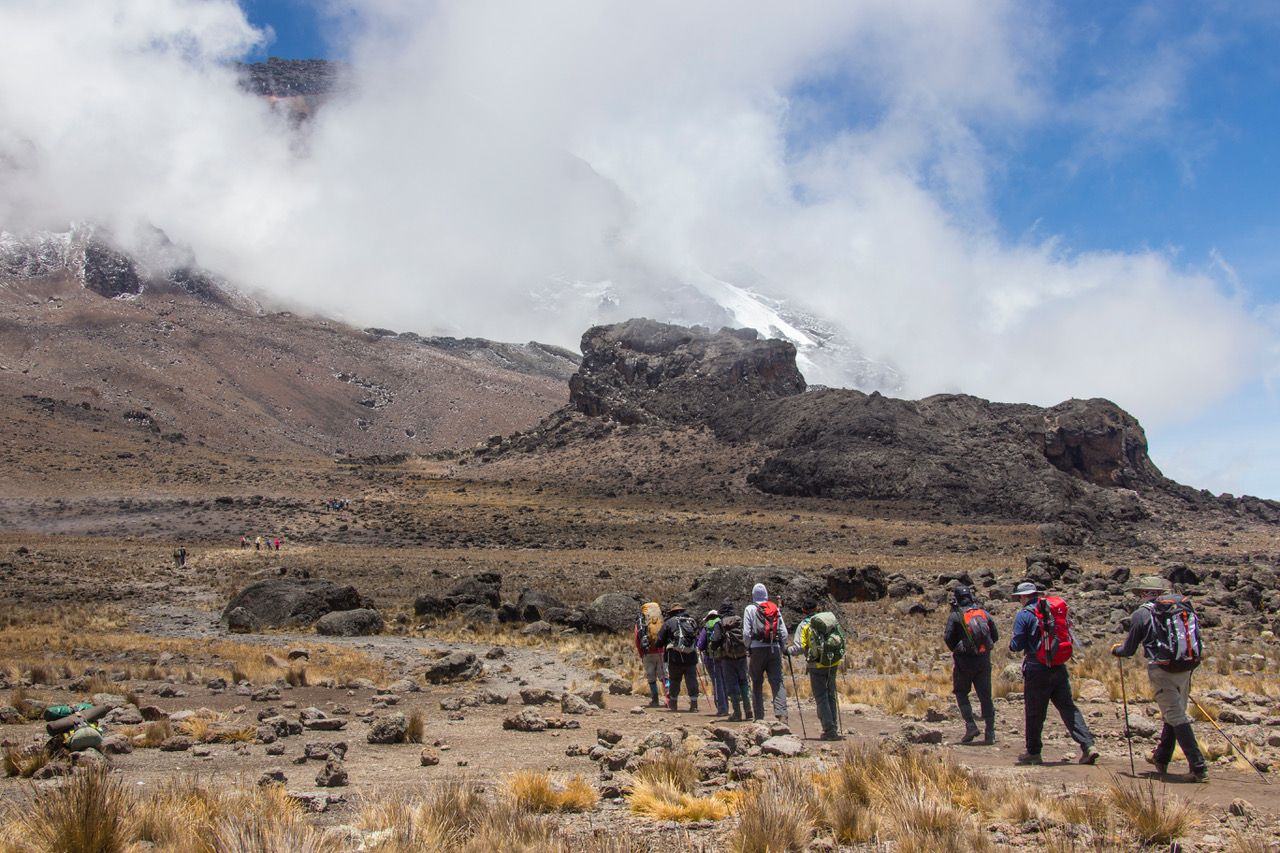 Kilimanjaro - Lava Tower, Tanzania