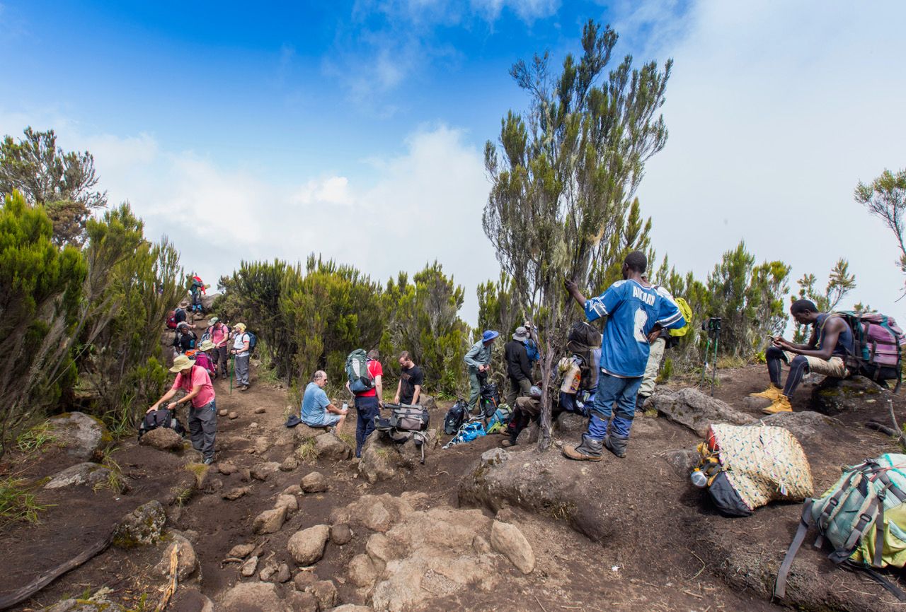 Kilimanjaro - Machame Camp, Tanzania