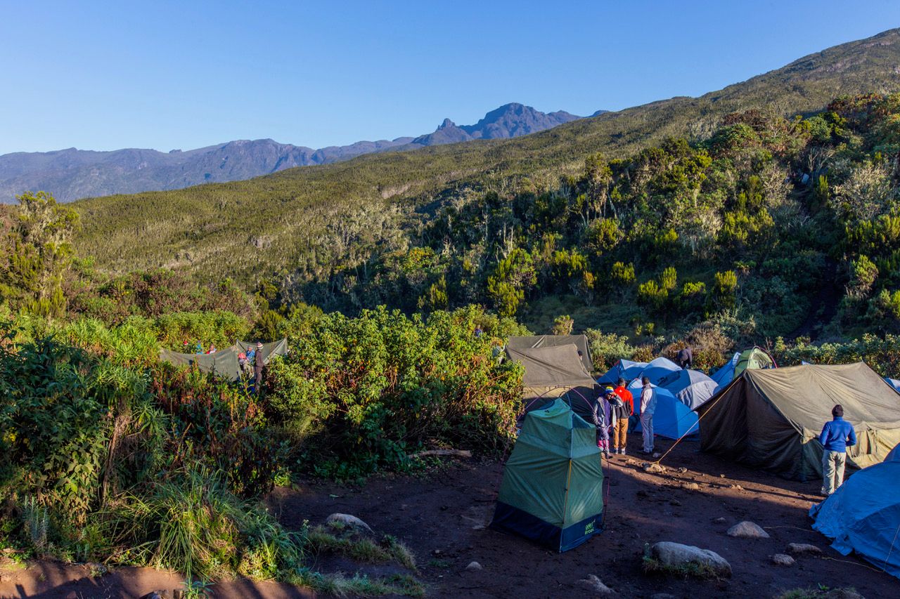 Kilimanjaro - Machame Camp, Tanzania