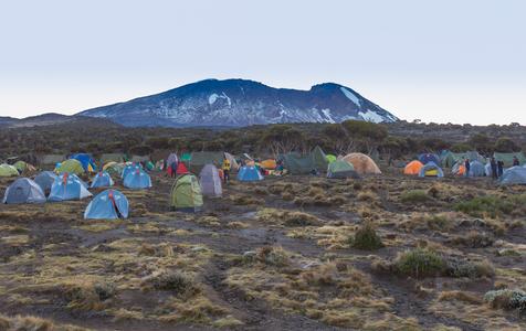 Kilimanjaro - Shira Camp