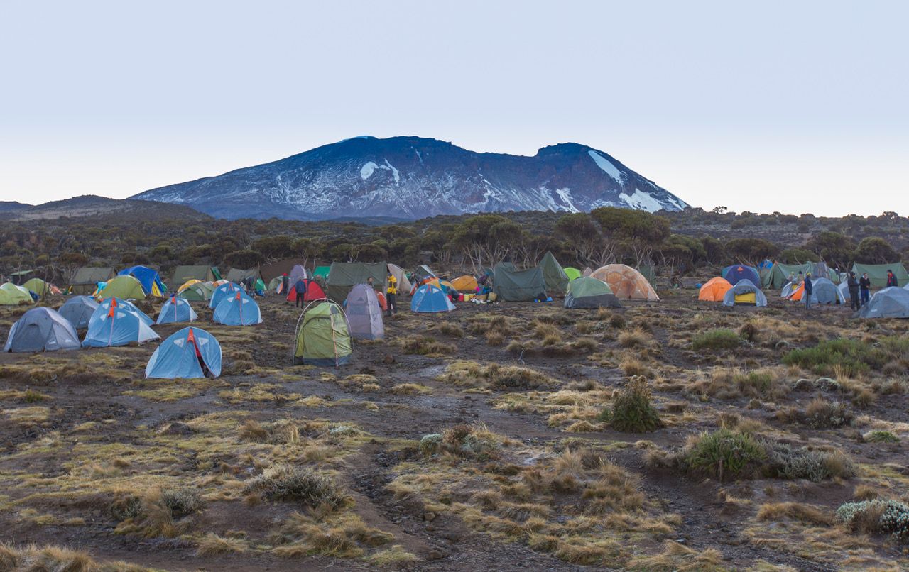 Kilimanjaro - Shira Camp, Tanzania