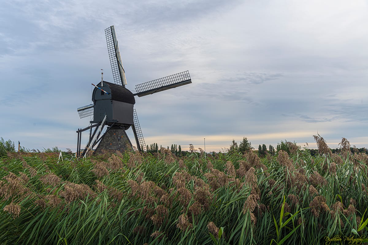 Kinderdijk, Sunrise, Netherlands