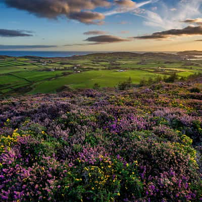 Knockomagh Hill, Ireland