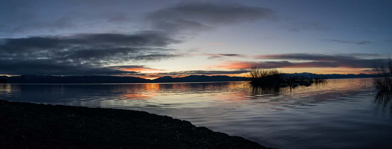 Lake Forest and Bristlecone Beach