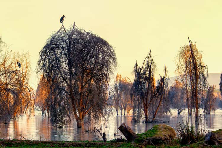 Lake Naivasha