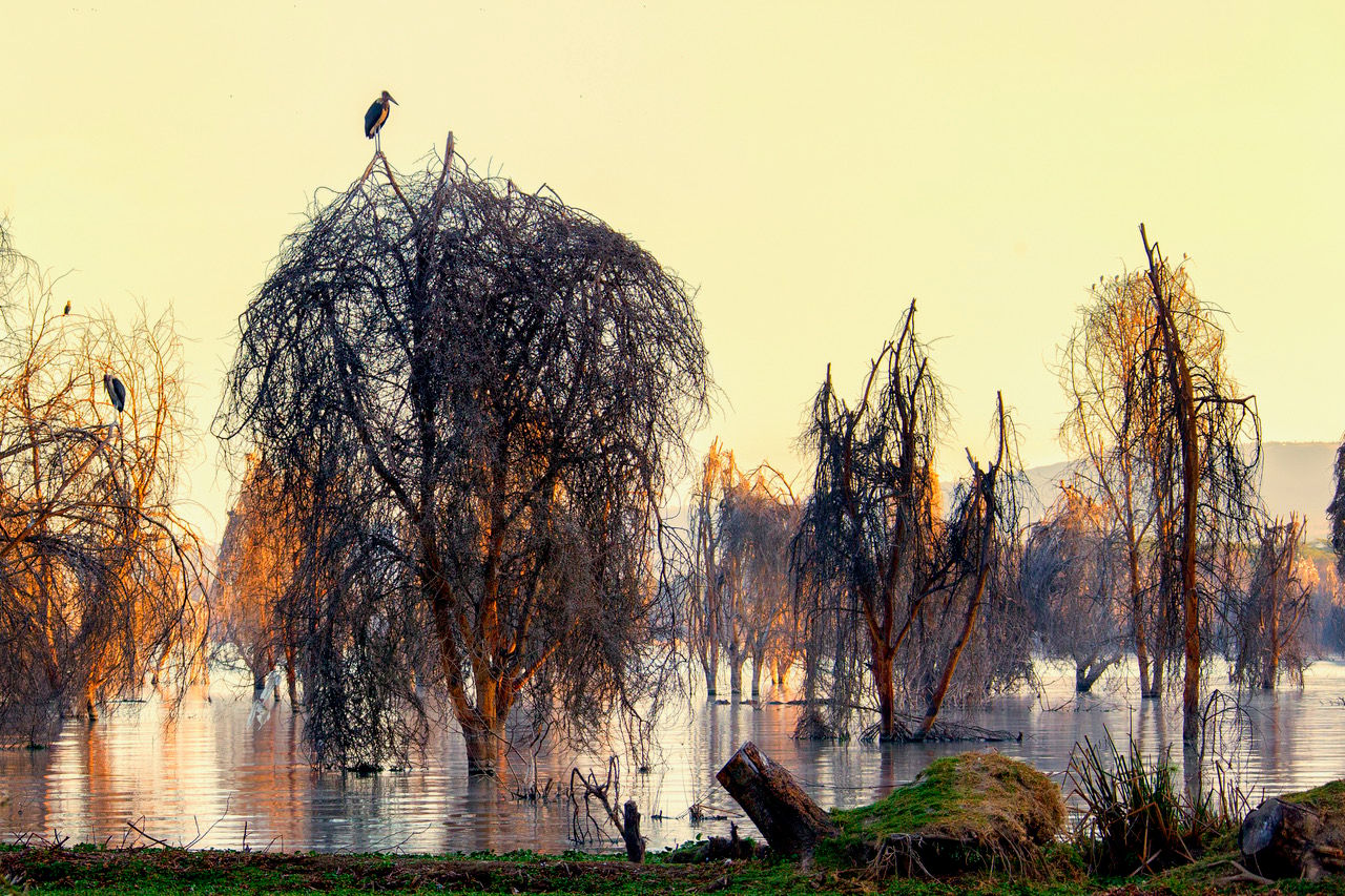 Lake Naivasha, Kenya