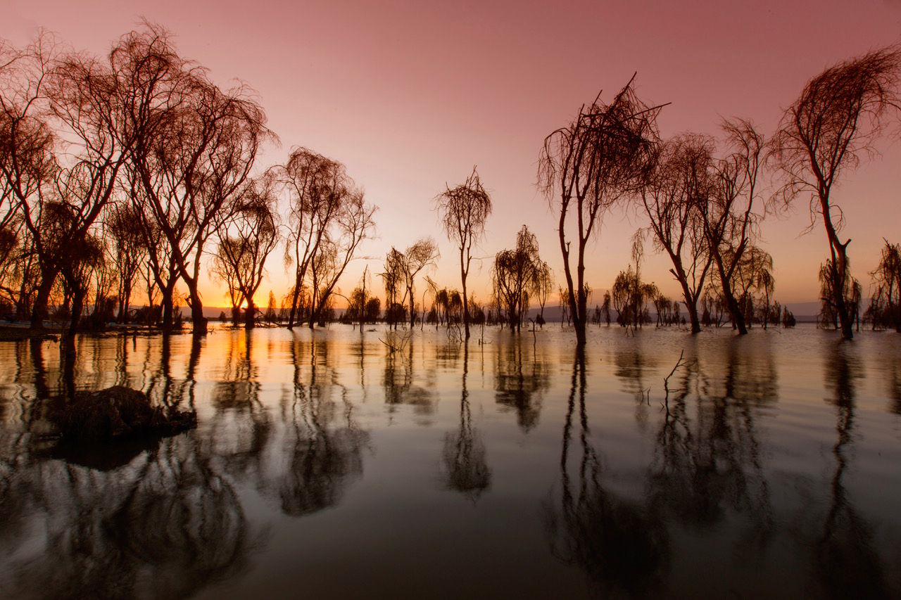 Lake Naivasha, Kenya