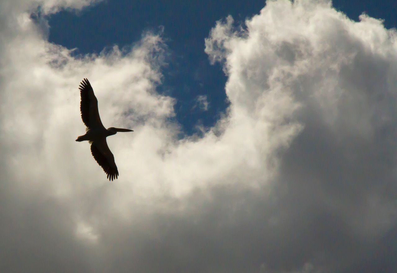 Lake Naivasha, Kenya