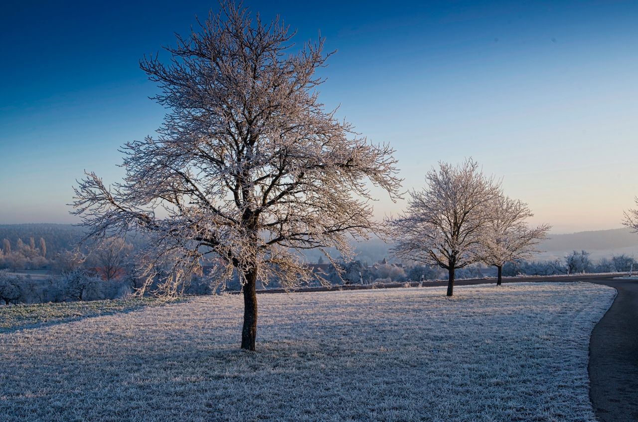 Landscape, Germany