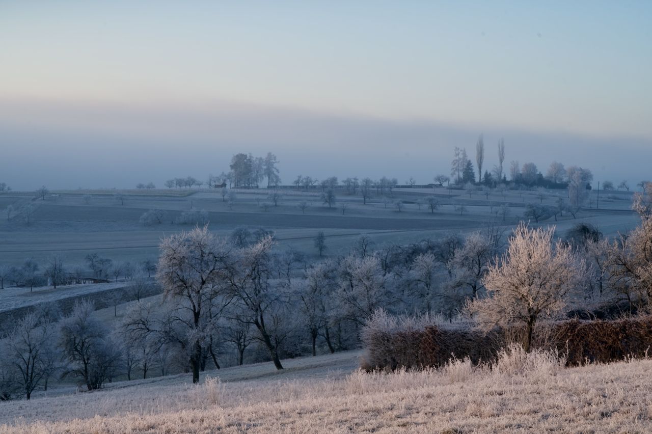 Landscape, Germany