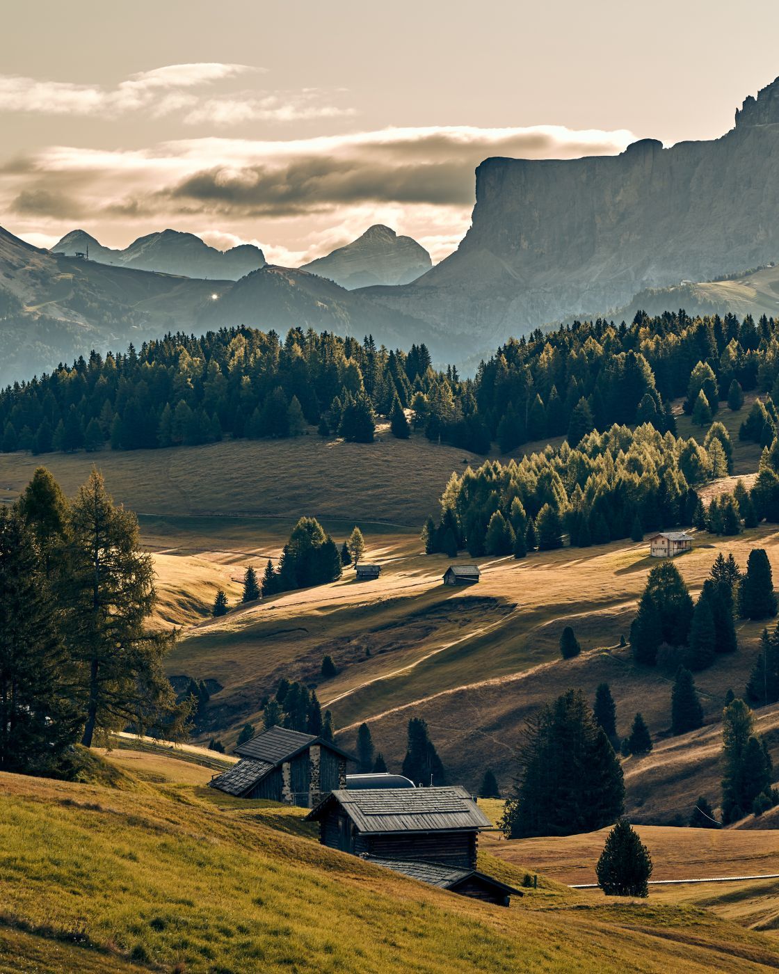 Le'Alpe di Siusi, St. Ulrich - Forcella Sassolungo, Italy