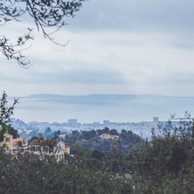 Les Mimosas View, France