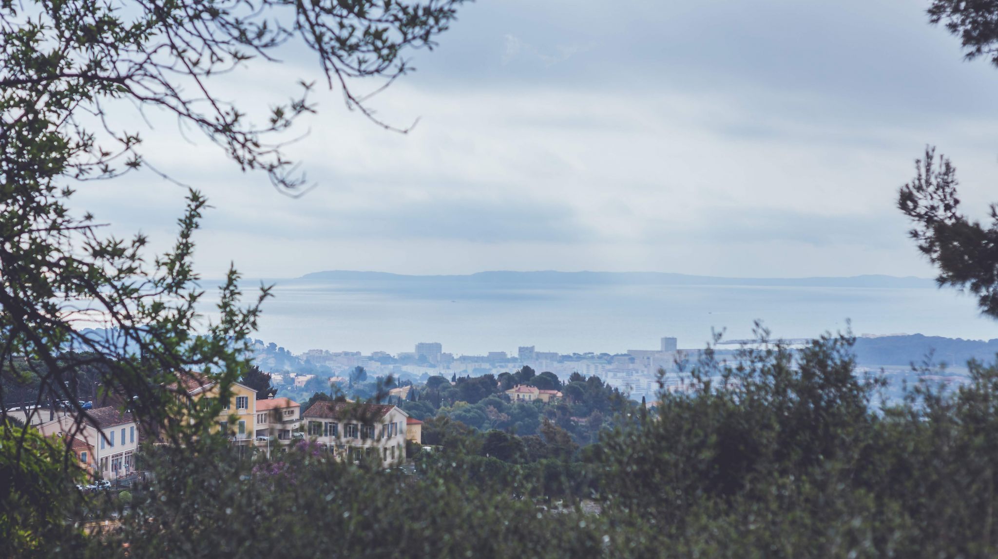 Les Mimosas View, France