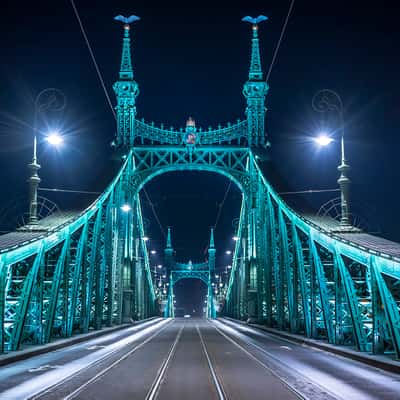 Liberty Bridge, Budapest, Hungary