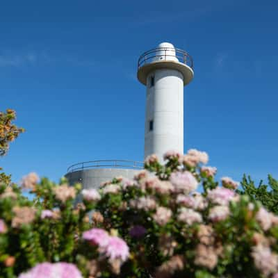 Light House & Flowers Torndirrup Western Australia, Australia