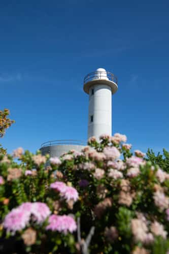 Light House & Flowers Torndirrup Western Australia
