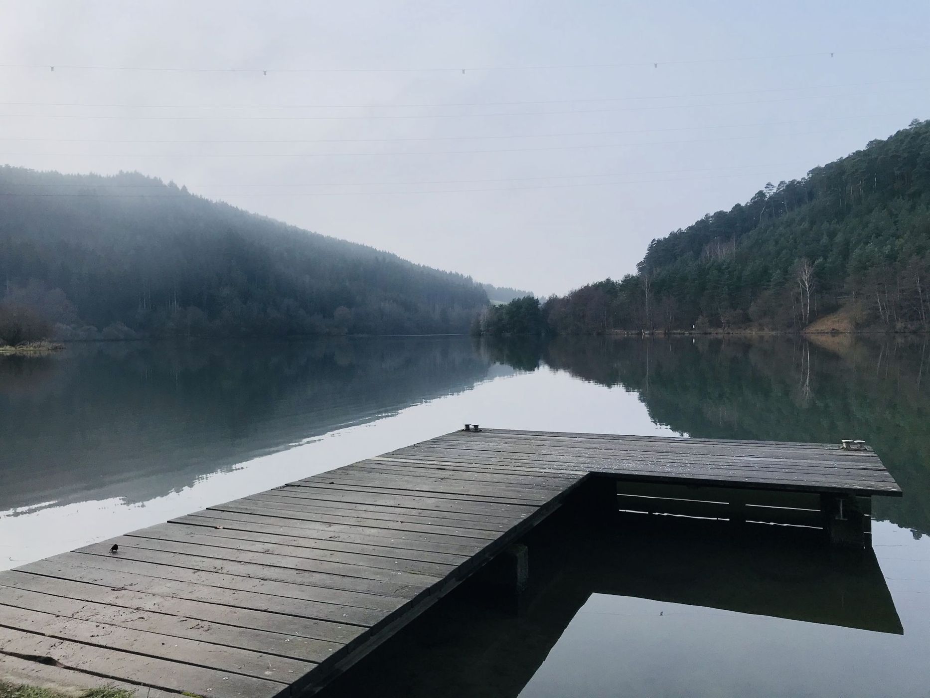 Marbach Stausee southern shore, Germany