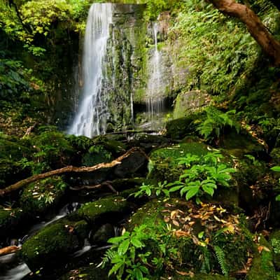 Matai Falls, New Zealand