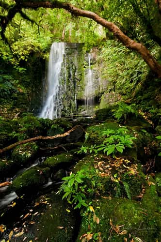 Matai Falls