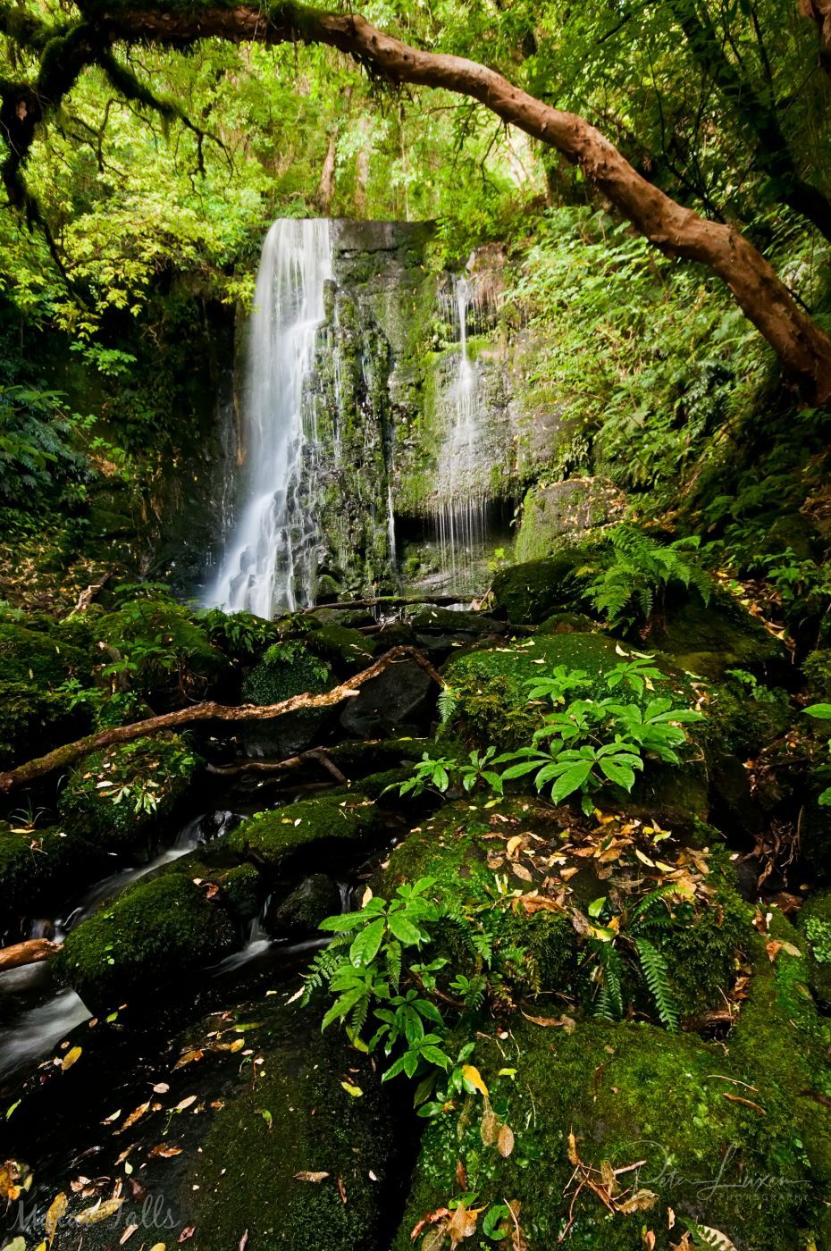 Matai Falls, New Zealand