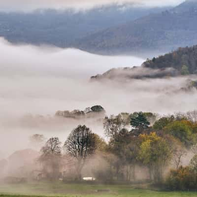 Misty morning valley, France